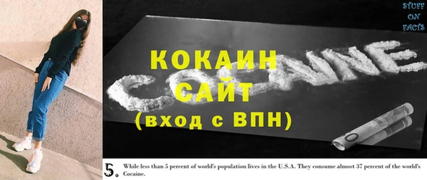 дживик Абинск