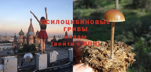 прущие крисы Абаза