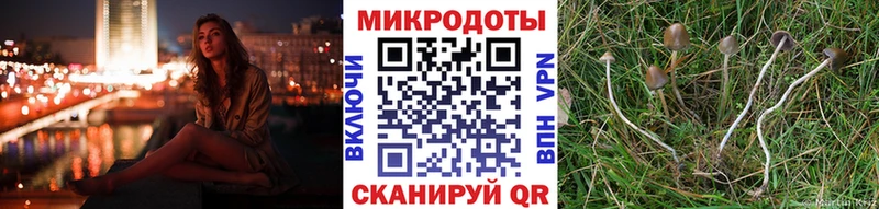 Псилоцибиновые грибы Psilocybine cubensis площадка телеграм Яблоновский наркотики